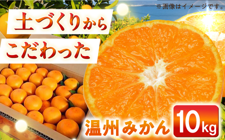【先行予約】温州みかん10kg[ECQ006]温州みかん
