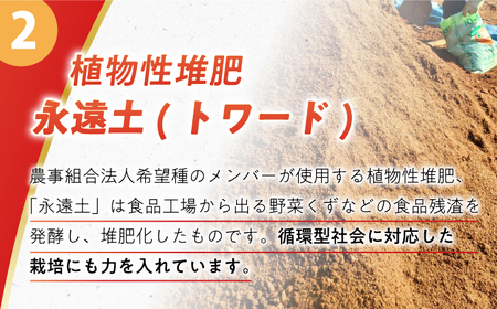 【先行予約】温州みかん10kg[ECQ006]温州みかん