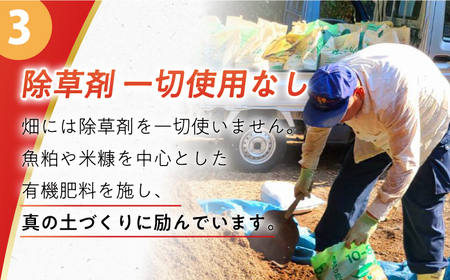 【先行予約】温州みかん10kg[ECQ006]温州みかん