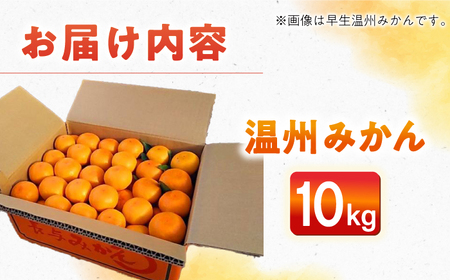 【先行予約】温州みかん10kg[ECQ006]温州みかん