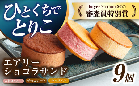 エアリーショコラサンド9個[EBV049]  クッキーサンド ショコラサンド デザート スイーツ クッキー チョコレート ストロベリー 焼き菓子 洋菓子 お菓子 おやつ すいーつ くっきー セット 詰め合わせ 詰合せ ギフト  定期便