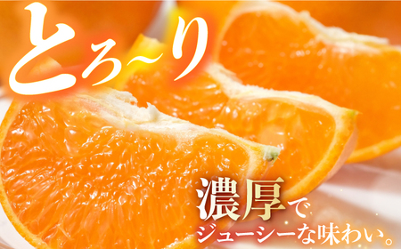 【化粧箱】せとか約3kg（12-15玉）2025年3月より発送[EAF005] せとか 美味しいせとか 人気せとか 厳選せとか せとか せとか