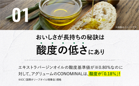 【化粧箱】 100%長与町産 エキストラバージンオリーブオイル 「CONOMINAL（コノミナル）」長与町/アグリューム[EAI146] エキストラバージンオリーブオイル えきすとらばーじんおりーぶおいる オリーブオイル エキストラバージン オイル おりーぶおいる おいる ギフト 贈答 化粧箱 国産 こくさん