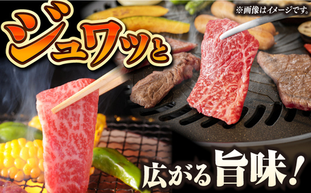 【自家製ダレ付】 長崎和牛 カルビ切り落とし200g （A4またはA5ランク） 長与町/炭火焼肉あおい[EBW028]  国産カルビ きりおとし 和牛カルビ かるび 焼肉用 焼肉 やきにく 牛肉 牛 肉 国産 冷凍 自家製