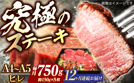 【12回定期便】長崎和牛ヒレステーキ750g[ECS040] ヒレ 牛肉 定期便