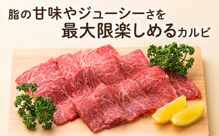 長崎和牛 焼肉 カルビ 約500g [ECT021] 国産 長崎和牛 カルビ 牛カルビ 焼肉 カルビ肉 和牛カルビ カルビ 牛カルビ