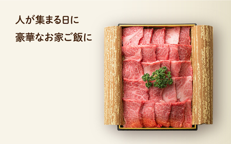 長崎和牛 焼肉 カルビ 約500g [ECT021] 国産 長崎和牛 カルビ 牛カルビ 焼肉 カルビ肉 和牛カルビ カルビ 牛カルビ