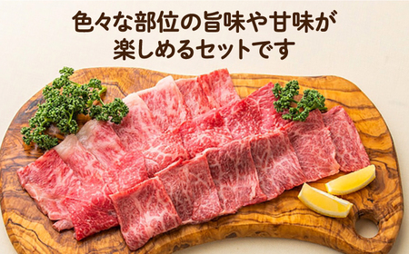 長崎和牛 焼肉3種セット 計600g（カルビ＆ロース＆赤身 各200g)[ECT025] 国産 長崎和牛 焼肉 牛肉 焼肉セット 国産 焼肉セット 和牛 焼肉 BBQ 焼肉 焼肉セット