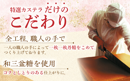 【12回定期便】特撰カステラ2種[EAK042]カステラ食べ比べ