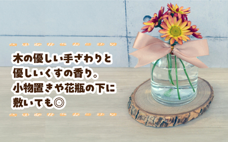 くすの木ウッドコースター 長与町/障害者通所施設 ほほえみの家[ECR002] 
