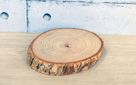 くすの木ウッドコースター 長与町/障害者通所施設 ほほえみの家[ECR002] 