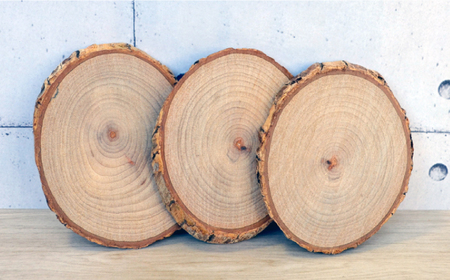 くすの木ウッドコースター 長与町/障害者通所施設 ほほえみの家[ECR002] 