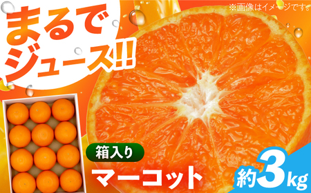 【柑橘】マーコット約3kg/JAじげもん長与直売所[EAF006]柑橘