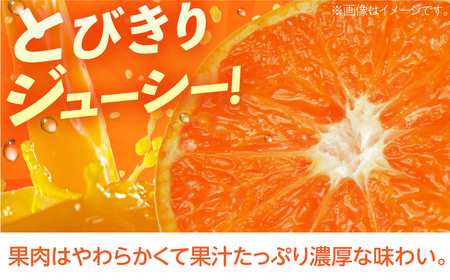 【柑橘】マーコット約3kg/JAじげもん長与直売所[EAF006]柑橘