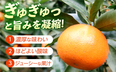 【柑橘】マーコット約3kg/JAじげもん長与直売所[EAF006]柑橘