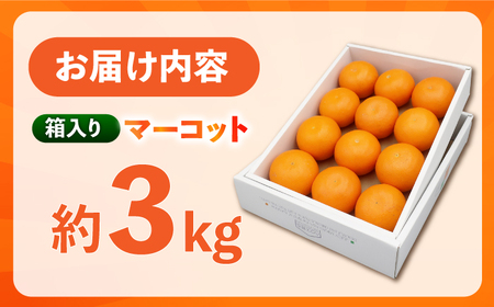 【柑橘】マーコット約3kg/JAじげもん長与直売所[EAF006]柑橘