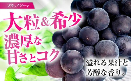 【ぶどう】シャインマスカット＆ブラックビート計1.3kg[EAF007]ぶどう