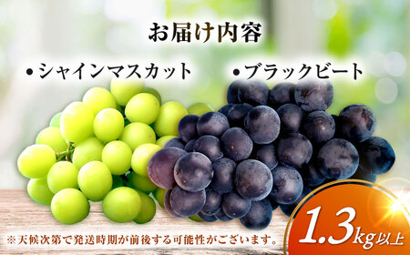 【ぶどう】シャインマスカット＆ブラックビート計1.3kg[EAF007]ぶどう