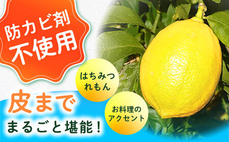 【ご家庭用】ユーレカレモン3kg 長与町/果豊園[ECL006] 