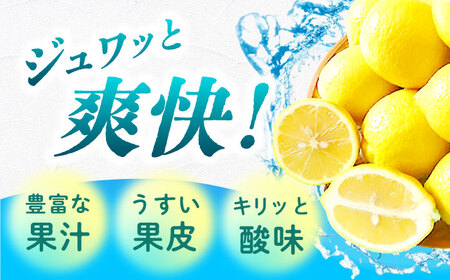 【ご家庭用】ユーレカレモン3kg 長与町/果豊園[ECL006] 