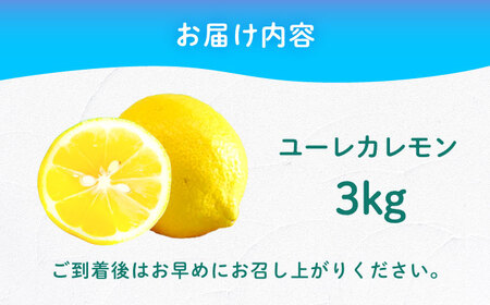 【ご家庭用】ユーレカレモン3kg 長与町/果豊園[ECL006] 