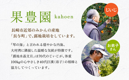 家庭用水晶文旦4kg[ECL007]文旦