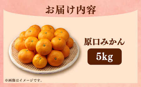 【2026年11月より発送】原口みかん 5kg（箱込み） 長与町/岩永農園[EAZ004] 