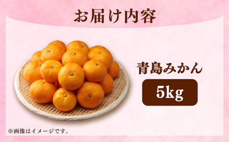 【2027年1月より発送】青島みかん5kg[EAZ008] 温州みかん
