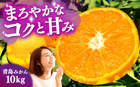 青島みかん10kg[EAZ009]みかん 蜜柑 フルーツ