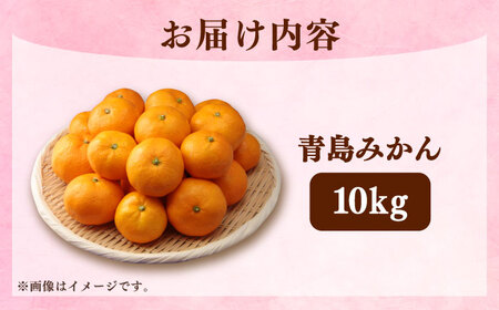 青島みかん10kg[EAZ009]みかん 蜜柑 フルーツ