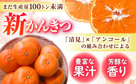 【2027年1月先行予約】【家庭用】津之望 約3kg[ECL008] 新柑橘 新しい柑橘 みかん