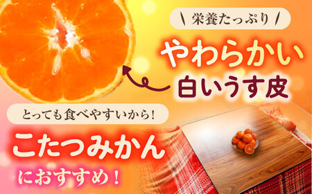 【2027年1月先行予約】【家庭用】津之望 約3kg[ECL008] 新柑橘 新しい柑橘 みかん