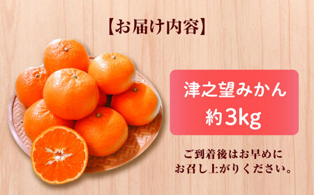 【2027年1月先行予約】【家庭用】津之望 約3kg[ECL008] 新柑橘 新しい柑橘 みかん