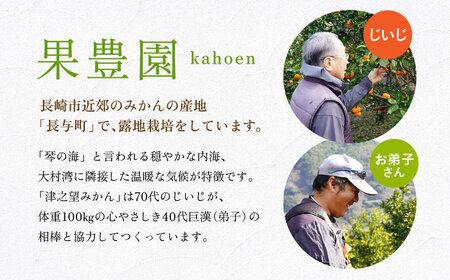 【2027年1月先行予約】【家庭用】津之望 約3kg[ECL008] 新柑橘 新しい柑橘 みかん