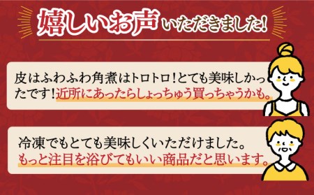 【全3回定期便】【簡易包装】長崎角煮まんじゅう 10個 長与町/岩崎本舗  [EAB018]