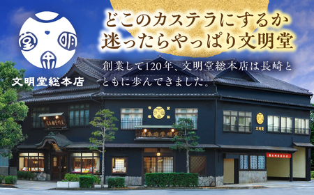 【全12回定期便】長崎カステラ3本（10切/本）文明堂総本店 [EAK029]  カステラ かすてら 長崎 ギフト 人気 和菓子 かすてら ざらめ ザラメ 文明堂 カット済み カット お取り寄せ 定期 定期便
