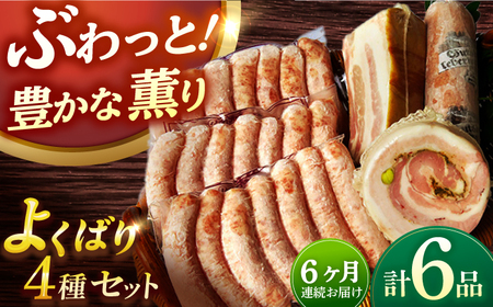 【6点×6回定期便】ハム詰合せ よくばり ソーセージ3袋＋3品 [EAM048]  無添加ベーコン ハムソーセージ 生ソーセージ 国産 ハム詰め合わせ 定期便