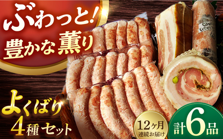 【6点×12回定期便】ハム詰合せ よくばり ソーセージ3袋＋3品 [EAM049]  無添加ベーコン ハムソーセージ 生ソーセージ 国産 ハム詰め合わせ 定期便