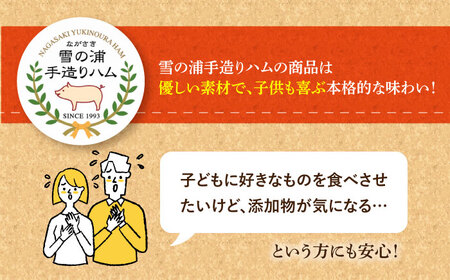 【国際大会金賞】【毎月3点×3回定期便】おためしセット 3品  /長与町/雪の浦手造りハム  [EAM050] 無添加 ベーコン ブロック ハム  冷凍 セット 定期便 定期 毎月