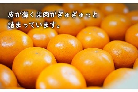 【限定限定】盛田みかん Sサイズ 約5kg（50-60個前後）ー2024年12月より発送ー 長与町/山口農園 [EBI001] 盛田 もりた みかん 柑橘 果物 くだもの フルーツ 季節限定 先行予約 数量限定 希少 稀少 温州みかん ミカン 5kg 産地直送 長崎県産 長与町