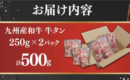 【塩だれ】★先行予約★九州産和牛 牛タン約500g（約250g×2パック） [EAX084] タン 国産牛タン 九州和牛タン九州和牛牛タン 塩だれ牛タン 牛タン塩