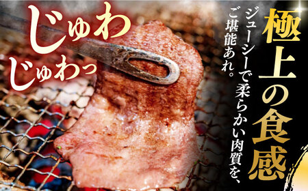 【6回定期便】【塩だれ】九州産和牛の牛タン 約500g（約250g×2パック）長与町/岩永ホルモン [EAX086] 国産 焼肉 薄切り スライス