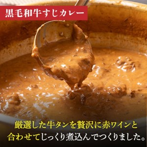 【全12回定期便】 黒毛和牛 牛すじカレー ＆ 牛タンシチュー 毎月3食 長与町/炭火焼肉あおい   [EBW009] 定期便  定期 定期便 定期 複数 定期便 毎月 定期便 届く 定期便 定期便