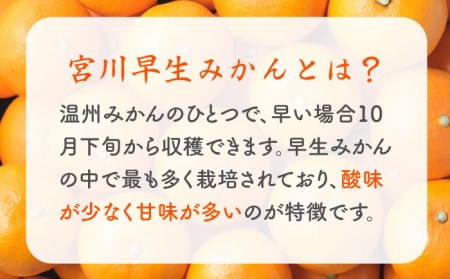 【先行予約】 早生 （宮川早生） みかん Mサイズ 約5kg  ー2024年11月より発送ー 長与町/山口農園 [EBI010] みかん 柑橘 果物 くだもの フルーツ 季節限定 数量限定 温州みかん ミカン 5kg 先行予約 産地直送 長崎県産 長与町