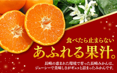 【ご家庭用】みかん 約 10kg（100-120個）ー2024年11月下旬より発送ー長与町/長崎西彼農業協同組合 長与支店 [EAH003] 温州みかん みかん10kg みかん 先行予約