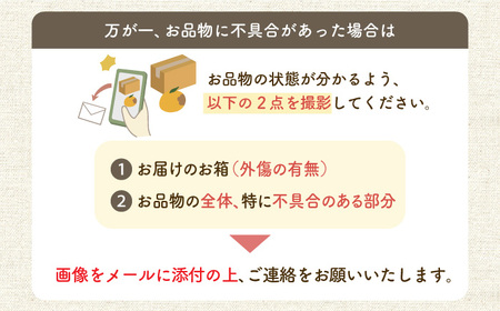 【ご家庭用】みかん 約 10kg（100-120個）ー2024年11月下旬より発送ー長与町/長崎西彼農業協同組合 長与支店 [EAH003] 温州みかん みかん10kg みかん 先行予約