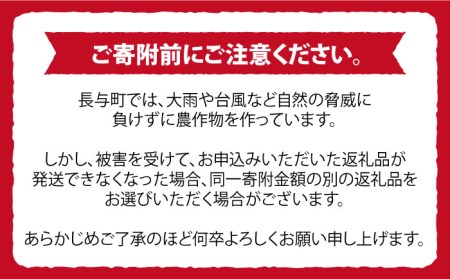 【ご家庭用】みかん 約 10kg（100-120個）ー2024年11月下旬より発送ー長与町/長崎西彼農業協同組合 長与支店 [EAH003] 温州みかん みかん10kg みかん 先行予約