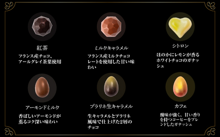 【6回定期便】《ギフト》 トリュフチョコレート 毎月30粒[EBV027]  チョコ 食べ比べ セット ギフト 贈答 スイーツ チョコ贅沢 バレンタイン ホワイトデー定期 定期便