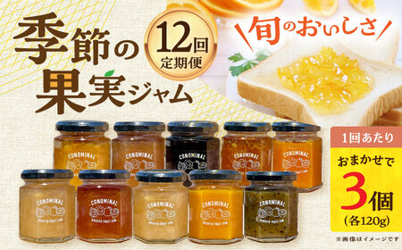 【12回定期便】季節の果実ジャム 3個（各120g） 長与町/アグリューム [EAI091]  瓶 セット ジャム
