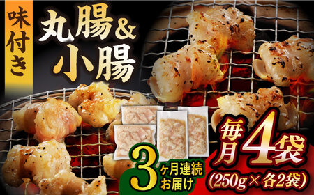 【全3回定期便】【塩だれ】 九州産和牛 ホルモン 2種 計1kg（ 小腸 250g×2袋・ 丸腸 250g×2袋） 長与町/岩永ホルモン [EAX155]国産 牛肉 ミックス 小分け 味付き 冷凍 焼肉